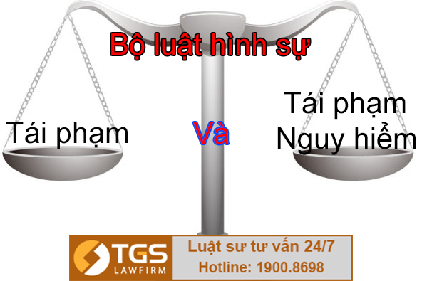 Tư vấn luật hình sự - TGS LawFirm - Công Ty TNHH Luật TGS